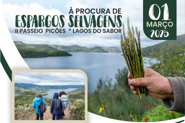 Evento - À Procura de Espargos Selvagens - Picões | União das Freguesias de Ferradosa e Sendim da Serra| Alfândega da Fé| Terras de Trás-os-Montes - 3 de Março