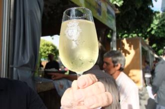 Ponto de Interesse - Feira do Vinho Verde, do Lavrador, Gastronomia e Artesanato - Castelo de Paiva| Castelo de Paiva| Tâmega e Sousa