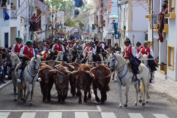 Evento - Festas em Honra de N.ª Sr.ª do Castelo - Coruche| Coruche| Lezíria do Tejo - De 6 de agosto de 2025 a 18 de agosto de 2025