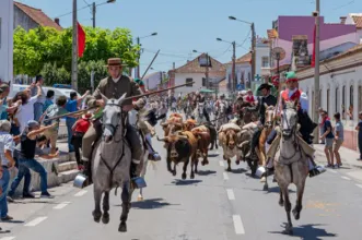 Ponto de Interesse - Festas da Ascensão - Chamusca| Chamusca| Lezíria do Tejo