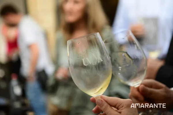 Evento - UVVA – Universo Vinho Verde Amarante - Amarante| Amarante| Tâmega e Sousa - De 20 a 22 de Junho