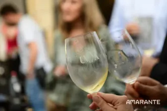 Evento - UVVA – Universo Vinho Verde Amarante - Amarante - De 20 a 22 de Junho