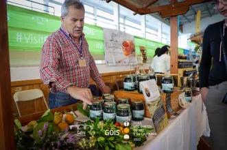 Local - Feira dos Santos, do Mel e da Castanha - Góis| Góis| Região de Coimbra
