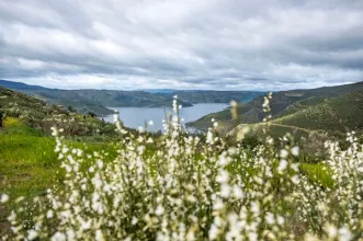 Local - À Procura de Espargos Selvagens - Picões | União das Freguesias de Ferradosa e Sendim da Serra| Alfândega da Fé| Terras de Trás-os-Montes