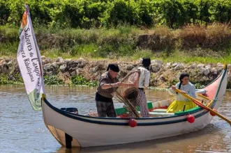 Local - Festival Gastronómico de Alpiarça - Sabores do Campo e da Charneca - Alpairça| Alpiarça| Lezíria do Tejo