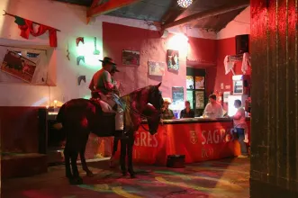 Local - Feira Nacional do Cavalo - Golegã  - Golegã| Golegã| Lezíria do Tejo