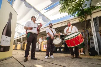 Ponto de Interesse - Feira Franca “Porca de Murça” - Murça| Murça| Douro