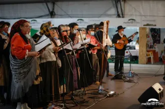 Local - Festival do Arroz e da Lampreia  - Montemo-o-Velho| Montemor-O-Velho| Região de Coimbra