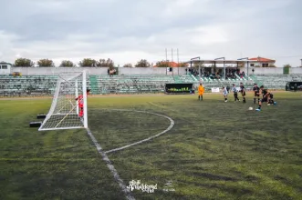 Local - Festa da Amendoeira em Flor – EXPOCÔA - Vila Nova de Foz Côa| Vila Nova de Foz Côa| Douro
