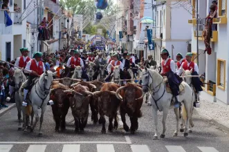 Parceiro - Município de Coruche