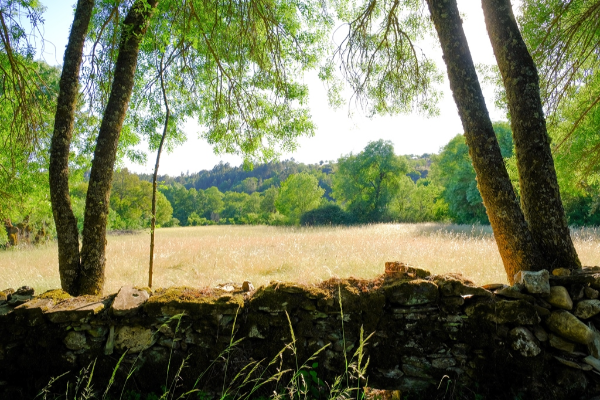 Local - Lameiros de Varge - Varge| Bragança| Terras de Trás-os-Montes