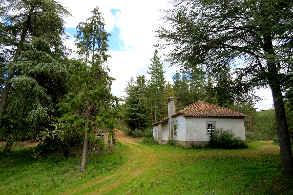 Local - Casa Florestal - Varge| Bragança| Terras de Trás-os-Montes