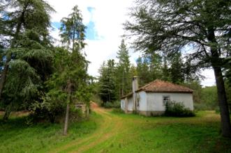 Local - Casa Florestal - Varge| Bragança| Terras de Trás-os-Montes