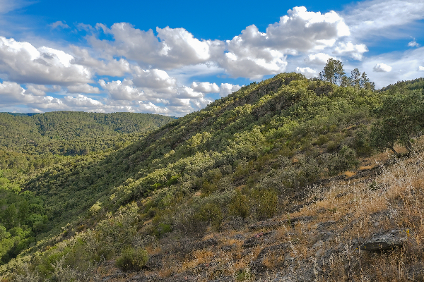 Local - Cabeço dos Mouros - Aveleda| Bragança| Terras de Trás-os-Montes