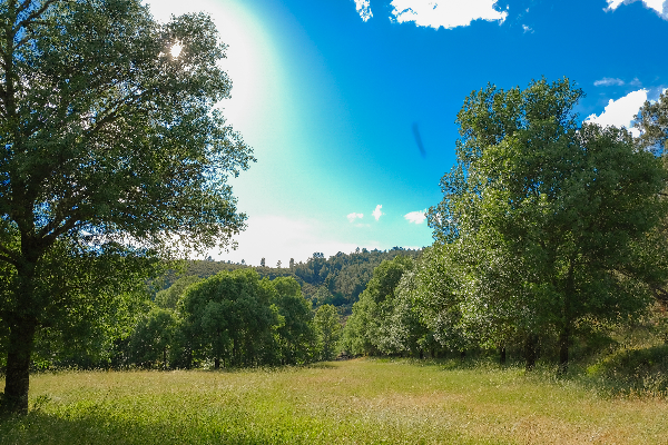 Local - Lameiros das Rachas - Aveleda| Bragança| Terras de Trás-os-Montes