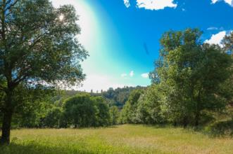 Local - Lameiros das Rachas - Aveleda| Bragança| Terras de Trás-os-Montes| Portugal