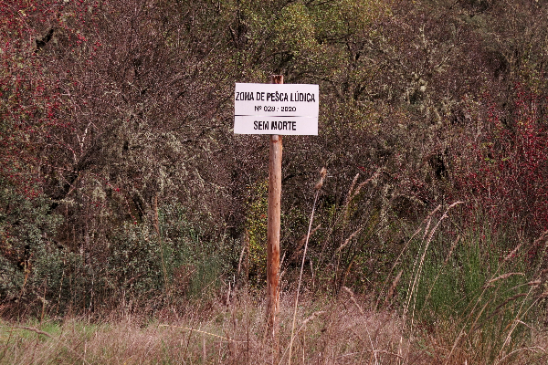 Local - Zona de Pesca Lúdica sem morte - Aveleda| Bragança| Terras de Trás-os-Montes