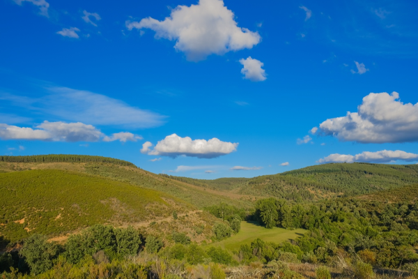 Local - Coutos - Rio de Onor | Bragança| Terras de Trás-os-Montes