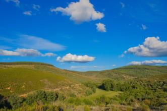 Local - Coutos - Rio de Onor | Bragança| Terras de Trás-os-Montes