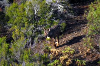 Local - O Rei - Portelo| Bragança| Terras de Trás-os-Montes| Portugal