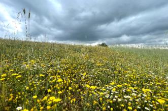 Local - Faceira de Varge - Aveleda| Bragança| Terras de Trás-os-Montes| Portugal
