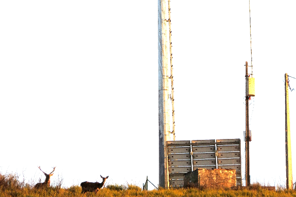 Point of Interest - Antenas fixas e móveis - Rio de Onor| Bragança| Terras de Trás-os-Montes