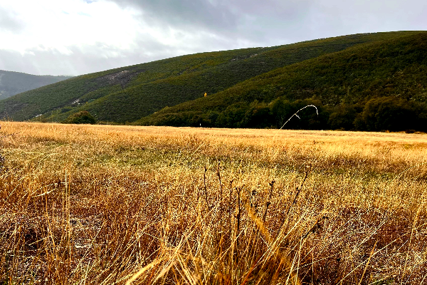 Local - Vale de Ramiro - Aveleda| Bragança| Terras de Trás-os-Montes