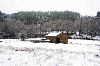 Local - Moinho de Varge - Varge| Bragança| Terras de Trás-os-Montes