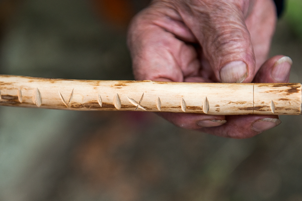 Point of Interest - Talas ou Varas da Justiça  - Rio de Onor| Bragança| Terras de Trás-os-Montes