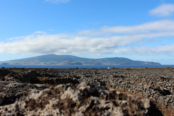 Ponto de Interesse - Paisagem da Cultura da Vinha da Ilha do Pico  - Lajido da Criação Velha| Madalena| Região Autónoma dos Açores