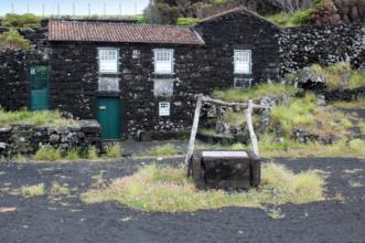 Ponto de Interesse - Lugar do Cachorro - Bandeiras| Madalena| Região Autónoma dos Açores| Portugal