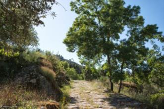 Ponto de Interesse - Ponte e Calçada Romana  - Murça