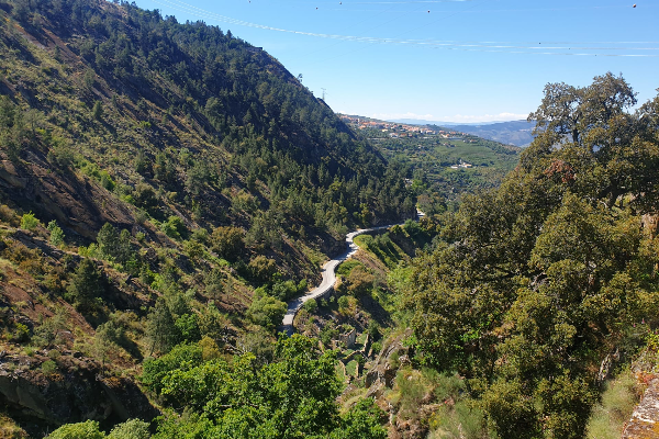 Local - Miradouro do Fradinho  - Tabuaço| Tabuaço| Douro