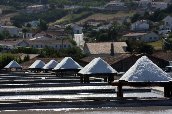 Local - Ecomuseu Salinas de Rio Maior  - Rio Maior| Rio Maior| Lezíria do Tejo