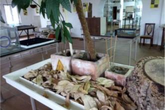 Point of Interest - CAPPAS INSECTOZOO - Museu Vivo de Insectos Sociais - Vila Ruiva| Cuba| Baixo Alentejo