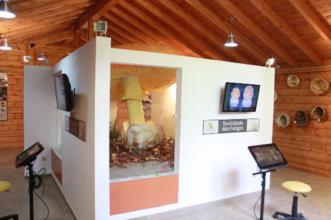 Local - Centro Micológico de Vinhais - Vinhais| Vinhais| Terras de Trás-os-Montes
