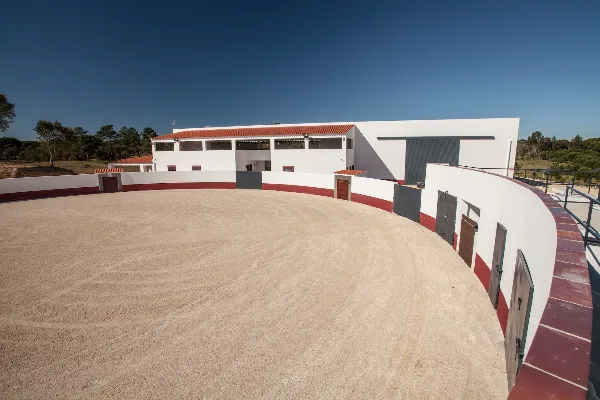 Local - Centro Equestre António Ribeiro Telles - Biscainho| Coruche| Lezíria do Tejo
