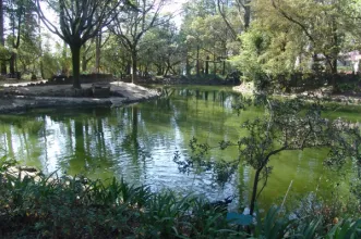 Local - Parque La Salette - Oliveira de Azeméis| Oliveira de Azeméis| Área Metropolitana do Porto| Portugal