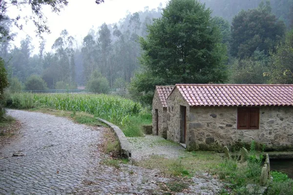 Local - Parque Temático Molinológico - Ul| Oliveira de Azeméis| Área Metropolitana do Porto