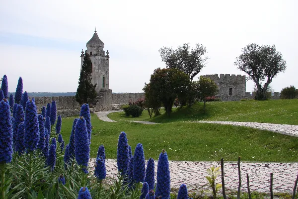 Ponto de Interesse - Castelo de Montemor-o-Velho  - Montemor-o-Velho| Montemor-O-Velho| Região de Coimbra