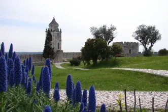 Ponto de Interesse - Castelo de Montemor-o-Velho  - Montemor-o-Velho| Montemor-O-Velho| Região de Coimbra| Portugal