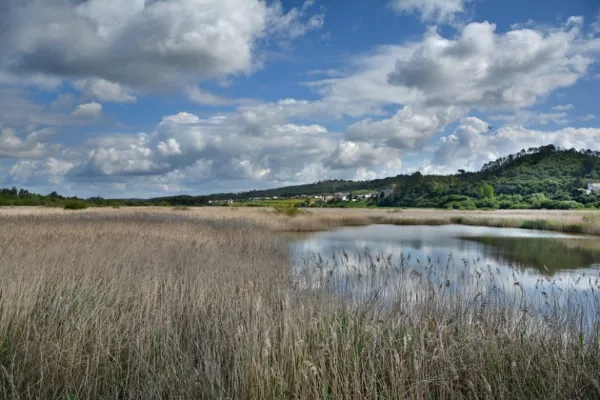 Local - Paul do Taipal  - Montemor-o-Velho| Montemor-O-Velho| Região de Coimbra