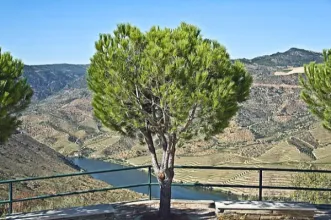 Ponto de Interesse - Miradouro de Santa Bárbara - Mós| Torre de Moncorvo| Douro| Portugal