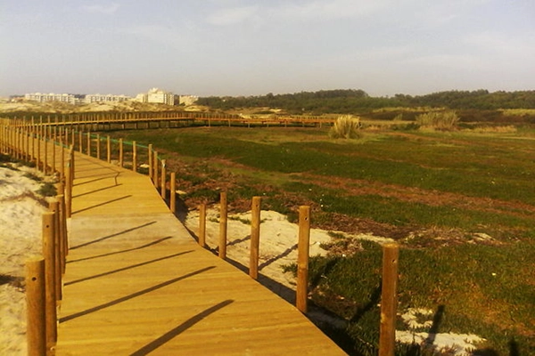 Local - Reserva Ornitológica de Mindelo - Mindelo| Vila do Conde| Área Metropolitana do Porto