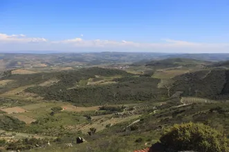 Ponto de Interesse - Miradouro de Nª Senhora do Viso - Custóias| Vila Nova de Foz Côa| Douro