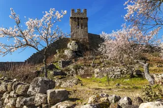 Ponto de Interesse - Castelo de Numão - Numão| Vila Nova de Foz Côa| Douro| Portugal