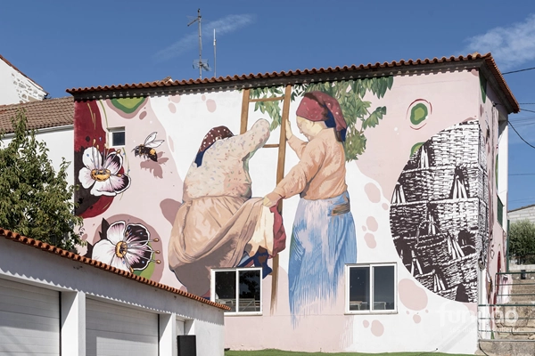 Local - Casa da Cereja - Alcongosta| Fundão| Beiras e Serra da Estrela