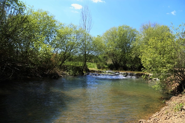 Local - Eco-Parque Montinho da Ribeira - Grândola| Grândola| Alentejo Litoral