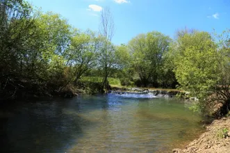 Local - Eco-Parque Montinho da Ribeira - Grândola| Grândola| Alentejo Litoral
