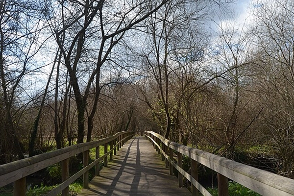 Local - Parque das Ribeiras Rio Uíma - Fiães| Santa Maria da Feira| Área Metropolitana do Porto